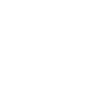 DESTINN.pdf (2)